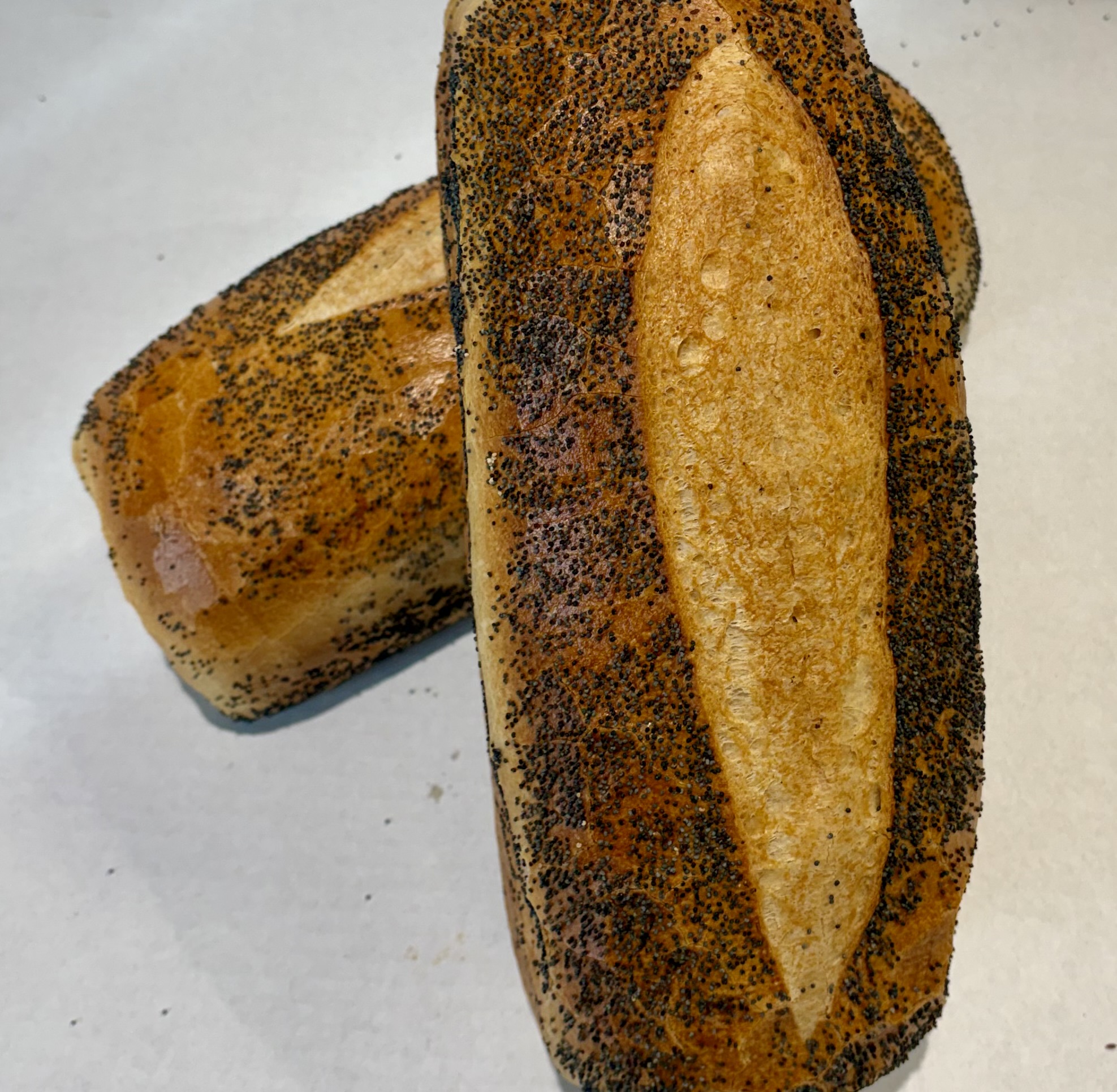 Schakenborgsbrød